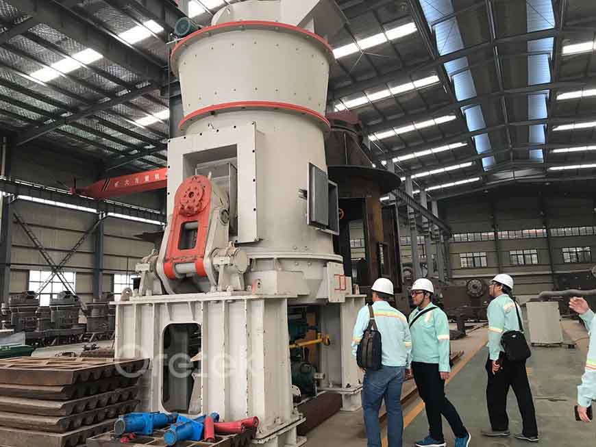 Middle East customers come to our company to inspect the vertical grinding mill
